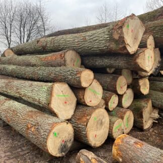 HÊTRE EN GRUME, CAMION DE 25 STÈRES