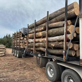 HÊTRE EN GRUME, CAMION DE 50 STÈRES